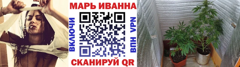 Марихуана Amnesia  MEGA ссылки  Завитинск 